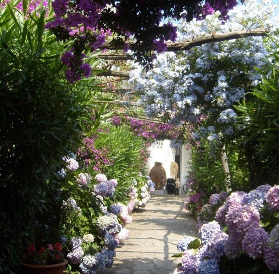 Marunnella Suites Capri Extérieur photo